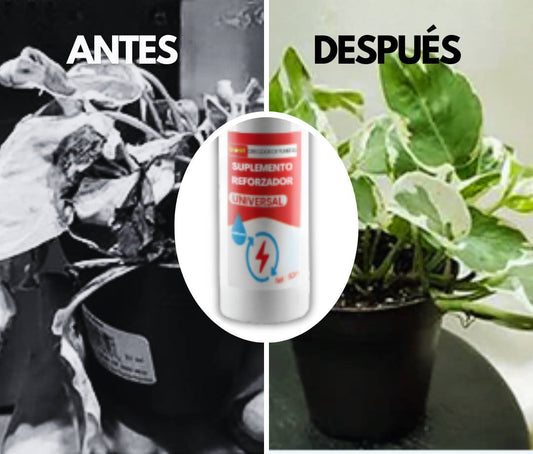 GREENDROP PLUS | CRECIMIENTO DE PLANTAS - 120 ML